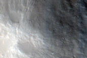 Terrain Sample

