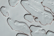 South Polar Residual Cap Monitoring
