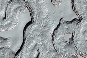 Monitoring of South Polar Residual Cap Albedo Features
