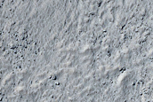 Scarp Monitoring
