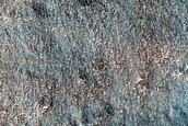 Terrain in Lyot Crater
