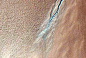 Gully Monitoring
