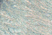 Searching for Recurring Slope Lineae
