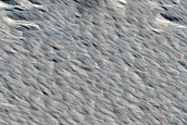 Monitoring New Impact Site
