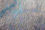 Gullies in Crater
