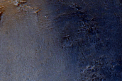 Terrain Sample
