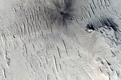 Monitoring New Impact Site

