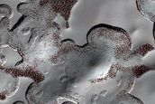 Monitoring of South Polar Residual Cap Albedo Features
