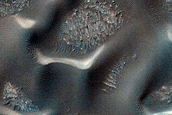 Monitor Opposing Barchan Dunes and Star Dunes
