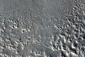 Lobate Debris Apron in Erebus Montes
