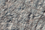 Small Circular Feature on Promethei Lingula
