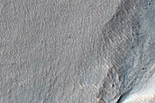 Gullies in Southern Mid-Latitude Crater
