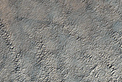 Possible Exposure of South Polar Layered Deposits
