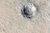 Bright Spot in Day and Night Infrared
