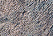 Corozal Crater
