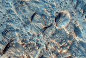 Dissected Fan or Delta in Terby Crater
