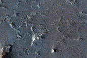 Circular Feature with Radial and Circumferential Ridges
