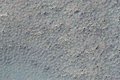 High-Latitude Sample

