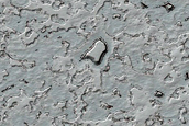South Polar Residual Cap Intraseasonal Change Monitoring
