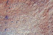 Gullies in Sisyphi Cavi

