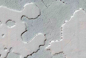 Inverted Carbon Dioxide Topography
