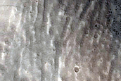 Valleys within Crater near Alba Patera

