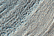 Gullies in Southern Mid-Latitude Crater
