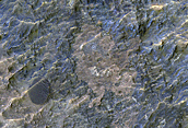 Una eyecta multicolor en Ladon Valles