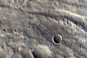 Monitoring Gullies and Frost in Walls of Fossae
