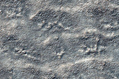 Circular Feature
