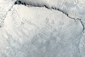 Crater with Fractured Floor Deposit in Tartarus Colles
