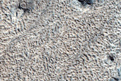 Cones and Wakes in Phlegra Region
