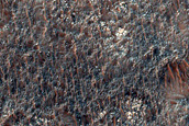 Possible Olivine-Rich Terrain

