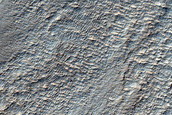 Gullies and Ridges in Mid-Latitude Southern Crater
