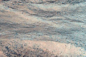 Gully Monitoring
