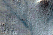 Gully Monitoring
