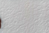 South Polar Residual Cap Intraseasonal Change Monitoring
