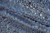 Stratigraphic Layers Along Reull Vallis
