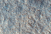 North Arabia Terra Monitoring Site
