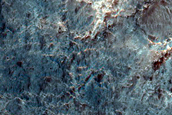 Terrain Sample
