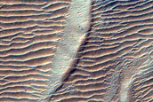 Gullies and Lobate Flow Feature in Nereidum Montes
