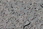 South Pole Residual Cap Yearly Monitoring 
