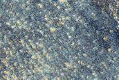 Dust-Raising Event Monitoring Site in Syria Planum
