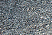 Possible Olivine-Rich Crater Wall in Terra Sirenum
