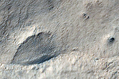 Gullies in Crater Southeast of Hellas Planitia
