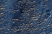 Terrain Sample
