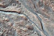 Gully Monitoring
