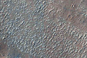 Terrain Sample

