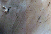 Crater Terraces
