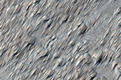 Terrain Sample Near Arsia Mons
